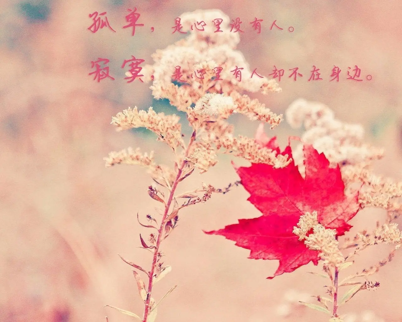 你说你想我了